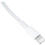 Cable APPLE Lightning To USB cable 2 M