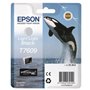 EPSON Cartouche d'encre T7609 Noir clair - Orque (C13T76094010)