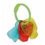Clementoni - Coffret de naissance Ourson - Doudou + hochet + clés en p