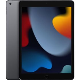 Apple - iPad (2021) - 10.2 WiFi - 256 Go - Gris Sidéral