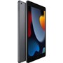 Apple - iPad (2021) - 10.2 WiFi - 256 Go - Gris Sidéral