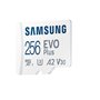 Carte Mémoire SAMSUNG 256Go MicroSD EVO PLUS