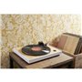 THOMSON TT301 - Platine vinyle design 33 et 45 tours - Tete de lecture