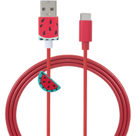 Câble USB A/USB type C