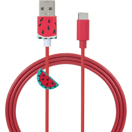 Câble USB A/USB type C