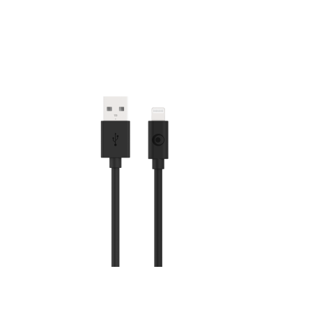 Câble USB A/Lightning 2m Noir - 2.4A Bigben
