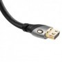 Platinum Câble Hdmi 4K Ultra High Speed 3M