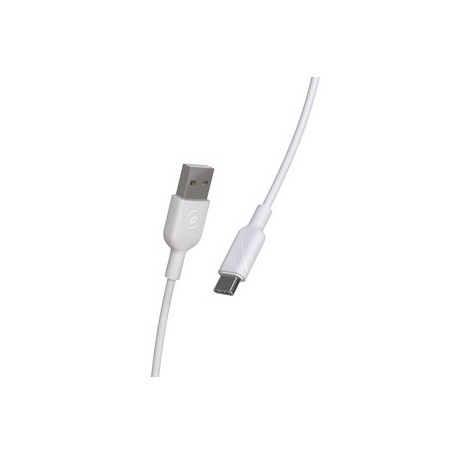 Câble USB-C Vers USB Muvit Mcusc0004