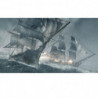 Assassin's Creed 4 Black Flag Playstation HITS Jeu PS4 27,99 €