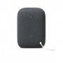 Nest Audio (Charcoal) FR