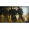 Rainbow Six : Siege Jeu PS4 29,99 €
