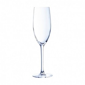 Coupe de champagne Chef & Sommelier Cabernet Transparent verre 240 ml