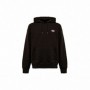 Sweat à capuche homme Dickies Millersburg Marron