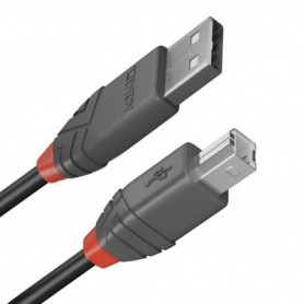 Câble USB A vers USB B LINDY 36670 20 cm Noir