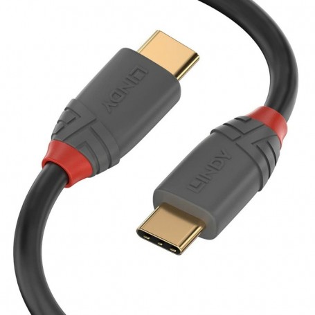 Lindy 36872 câble USB 2 m USB 2.0 USB C Noir, Gris