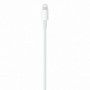 Câble USB-C vers Lightning Apple mm0A3ZM/A 1 m Blanc