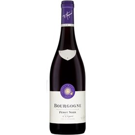 Frédéric Magnien Bourgogne Pinot Noir Elegant 41,99 €