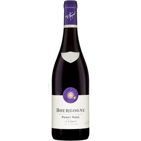 Frédéric Magnien Bourgogne Pinot Noir Elegant 41,99 €