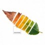 Housse de Couette Leaf Pantone Lit de 150 (240 x 220 cm)