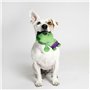 Jouet pour chien The Avengers Vert 100 % polyester