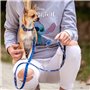 Collier pour Chien Stitch Bleu foncé XS/S