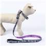 Collier pour Chien Disney Gris XS/S