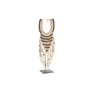 Figurine Décorative DKD Home Decor Collier Fer Coquillages (23,5 x 15 