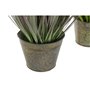 Plante décorative DKD Home Decor 30 x 30 x 78 cm Rose Métal Jaune PVC 
