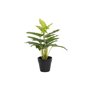 Plante décorative DKD Home Decor PVC polypropylène 25 x 25 x 30 cm