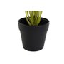 Plante décorative DKD Home Decor PVC polypropylène 25 x 25 x 30 cm