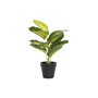 Plante décorative DKD Home Decor PVC polypropylène 25 x 25 x 30 cm