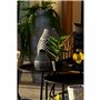 Plante décorative DKD Home Decor PVC polypropylène 25 x 25 x 30 cm