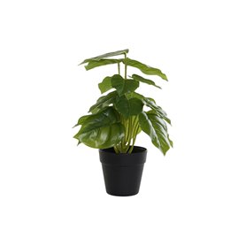 Plante décorative DKD Home Decor PVC polypropylène 20 x 20 x 30 cm