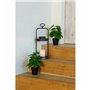 Plante décorative DKD Home Decor PVC polypropylène 20 x 20 x 30 cm