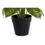 Plante décorative DKD Home Decor PVC polypropylène 20 x 20 x 30 cm