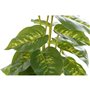 Plante décorative DKD Home Decor PVC polypropylène 20 x 20 x 30 cm