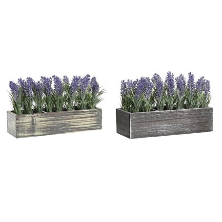 Plante décorative DKD Home Decor Bois Polyéthylène 32 x 14 x 19,5 cm (