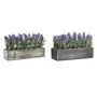 Plante décorative DKD Home Decor Bois Polyéthylène 32 x 14 x 19,5 cm (