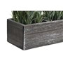 Plante décorative DKD Home Decor Bois Polyéthylène 32 x 14 x 19,5 cm (