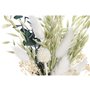 Fleur décorative DKD Home Decor 16 x 6 x 21 cm Beige Vert Jaune Fleurs