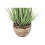 Plante décorative DKD Home Decor 30 x 30 x 78 cm Rose Métal Lila Vert 
