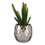 Plante décorative Argenté Cactus Céramique Plastique (8 x 20 x 8 cm)