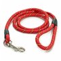 Laisse pour Chien Rayures 120 cm