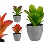 Plante décorative Plastique (6 Unités) (11 x 20 x 11 cm)