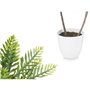 Plante décorative Palmier Plastique 36 x 55,5 x 24 cm (6 Unités)