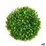 Plante décorative Ballon Plastique 17 x 13,5 x 17 cm (12 Unités)