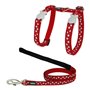 Harnais pour chat Red Dingo Style Rouge Étoile Blanc Sangle