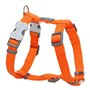 Harnais pour Chien Red Dingo Lisse 25-39 cm Orange