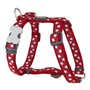 Harnais pour Chien Red Dingo Rouge Étoile Blanc 37-61 cm