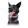 Collier cervical pour chiens KVP Noir (6-28 cm)